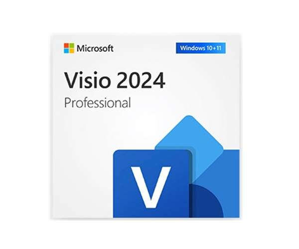 Microsoft Visio 2024 Professional for 1 Device | Lifetime License | Windows